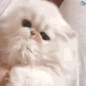 校花吊起被内裤涂春药高潮了
